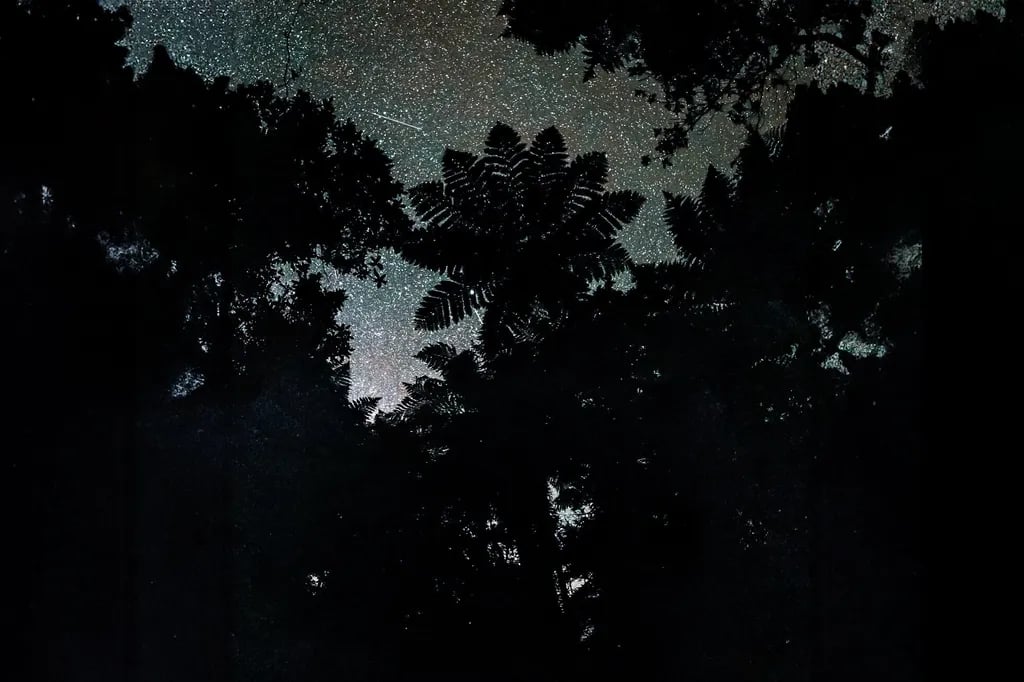 Te Tiro Accommodation