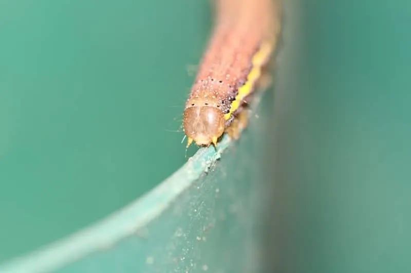 Edgewater Holiday Park gallery 1