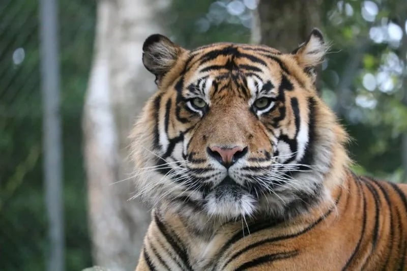 Camping Jachthaven De Mars gallery 2