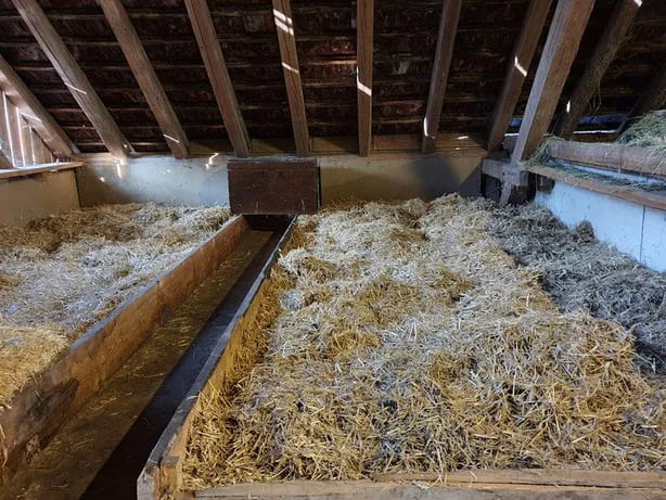 Erlebnisbauernhof & Camping Gerbe gallery 1