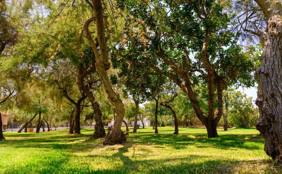 Centro Vacanze La Masseria