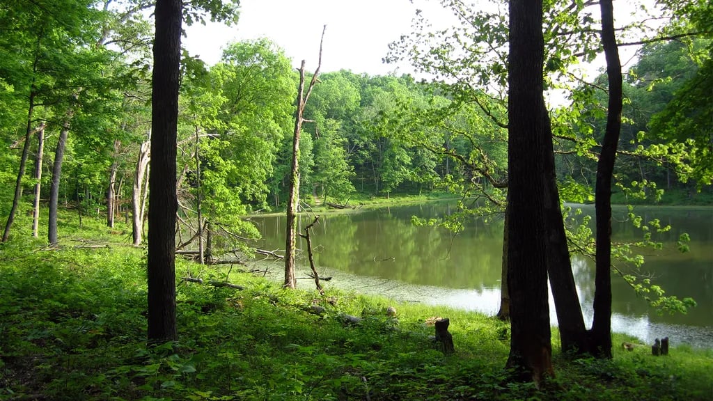 Hamilton County Miami Whitewater Forest Campground gallery 2