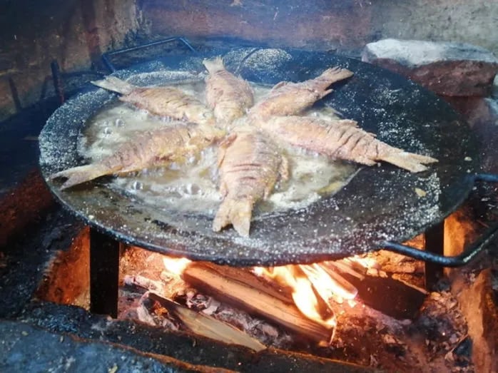 Camp Bezdan gallery 3