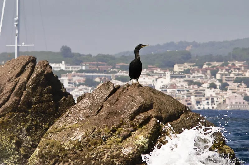 Camping Benelux gallery 3