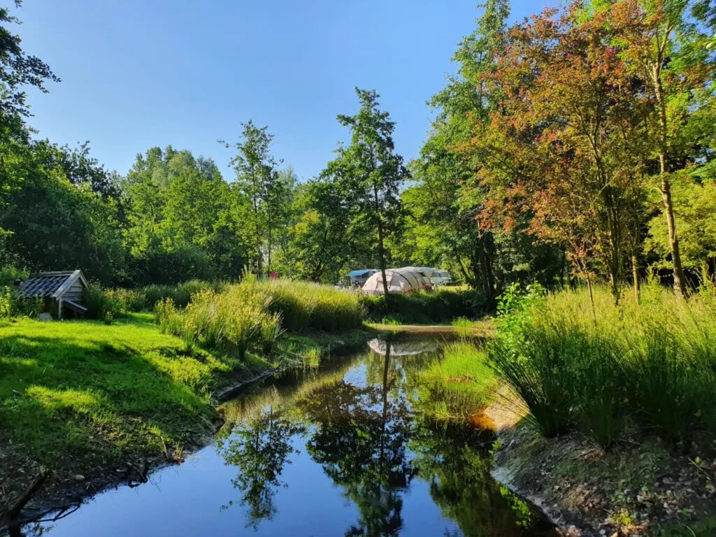 Camping Bos en Pingo