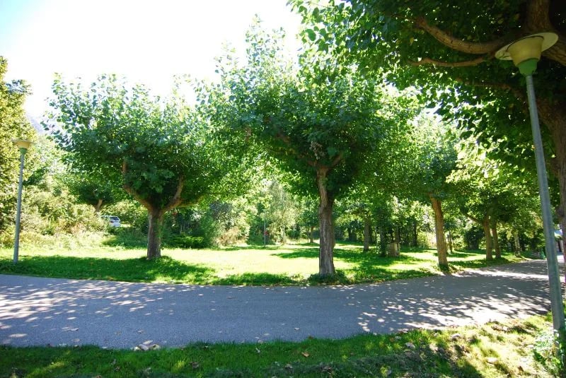 Camping Taüll gallery 3