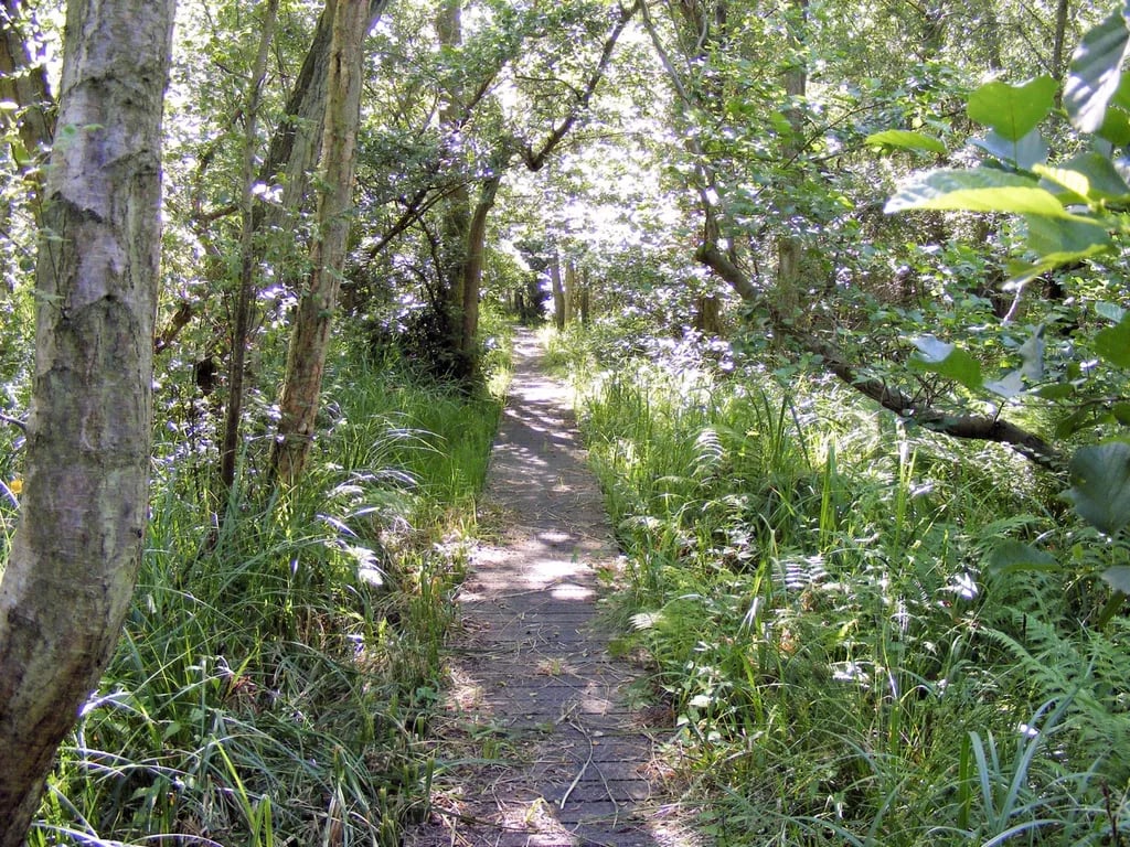 Green Haven Camping gallery 2