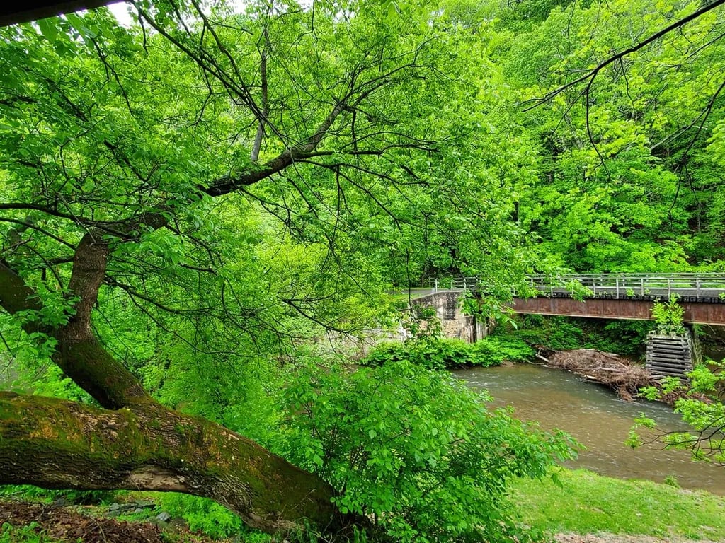 New River Trail Cabins