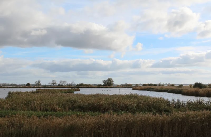Landgoed Camping Nienoord gallery 2