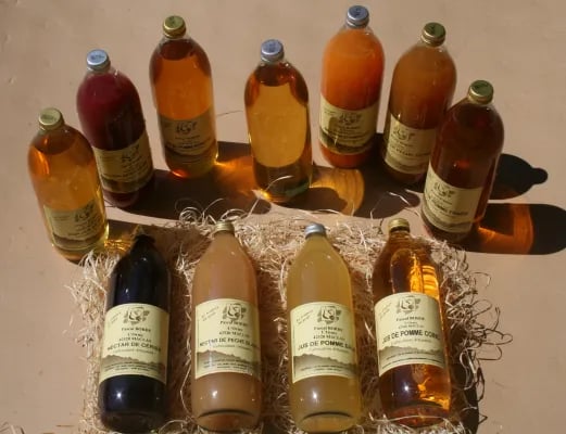 Aire Naturelle De Camping La Ferme Aux Cerisiers gallery 3