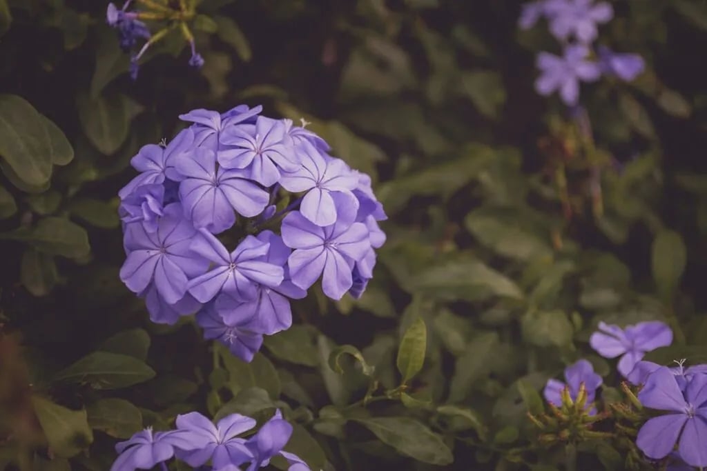 Pine Lake RV Park gallery 3