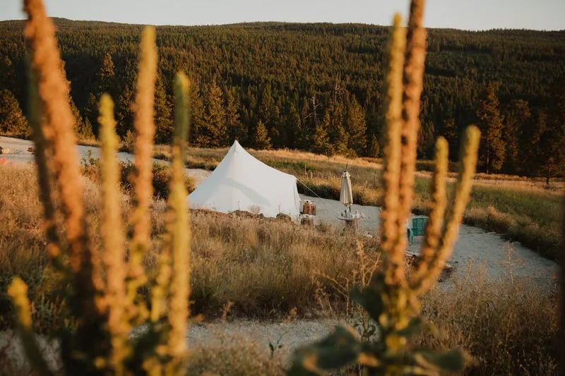 Unique Canvas Luxury Camp gallery 3