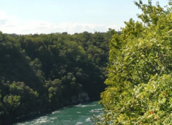 Cinderella Motel & Campsite gallery 3