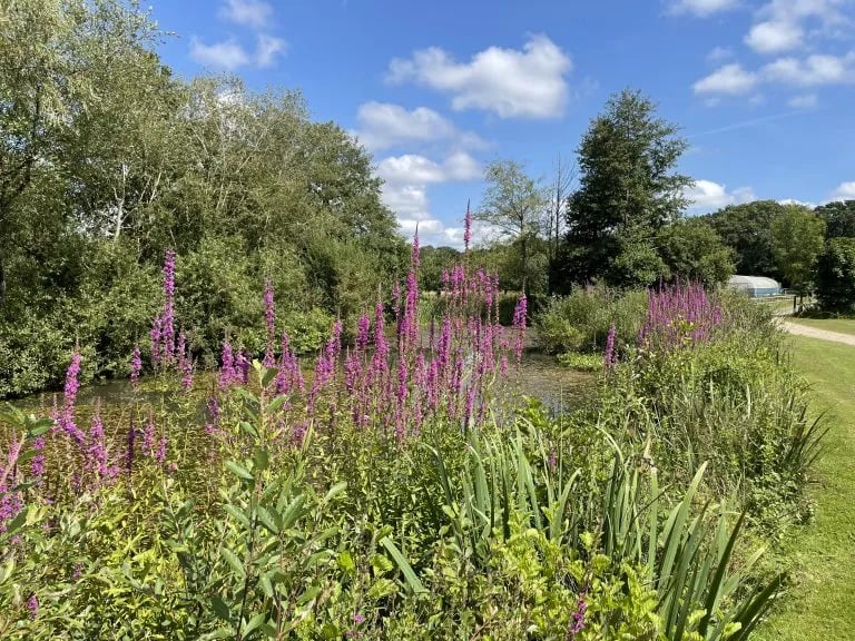 Riverside Lakes gallery 1