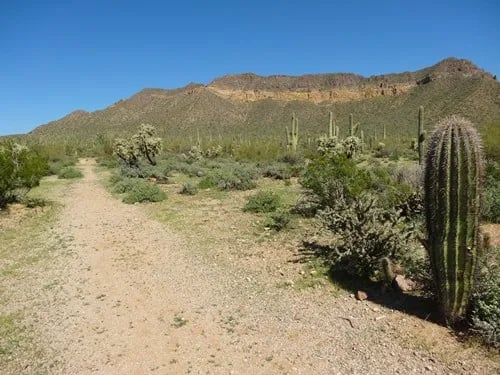Usery Mountain Regional Park gallery 2