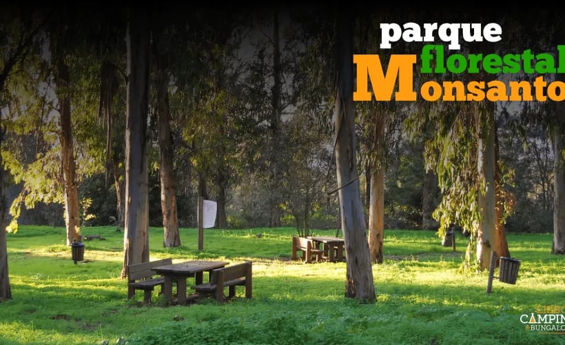 Lisboa Camping & Bungalows gallery 2