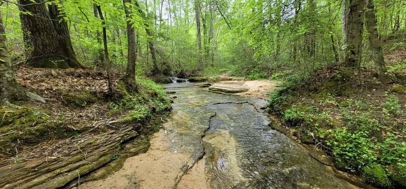 Bama Campground & RV Park gallery 3