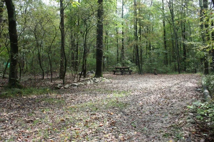 Camp Taylor Campground gallery 1