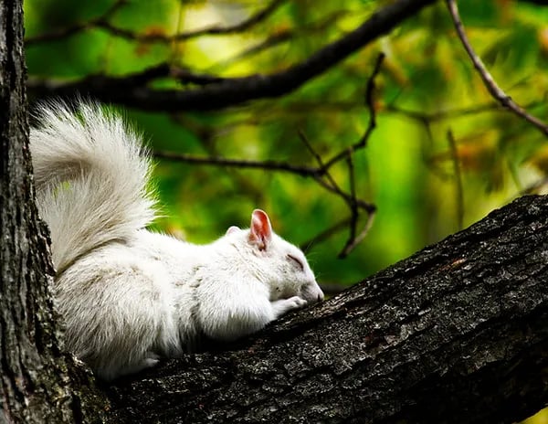 Lakeside Campground gallery 3