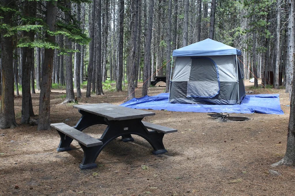 Bridge Bay Campground — Yellowstone National Park gallery 1