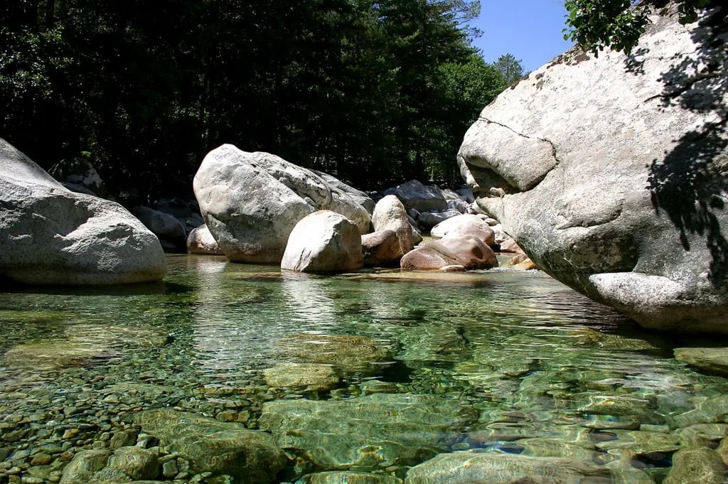 Camping Les Eucalyptus