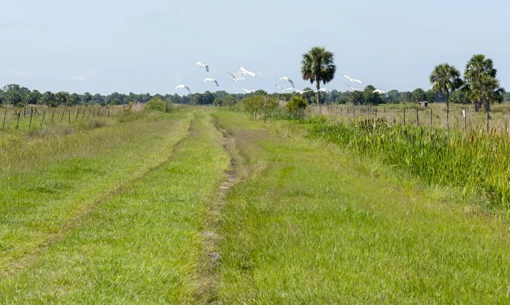 Persimmon Mound gallery 2