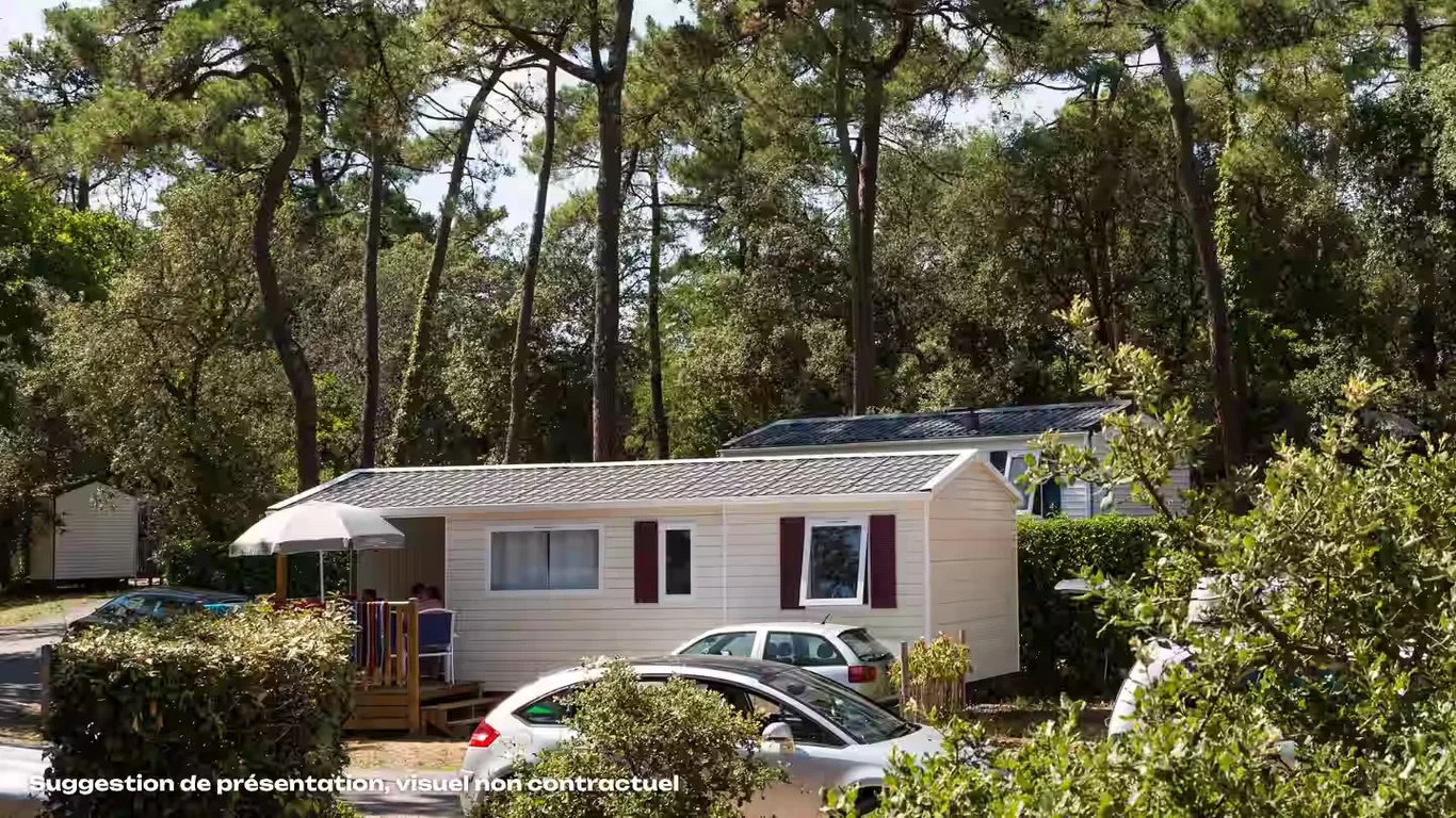 Flower Camping Dunes