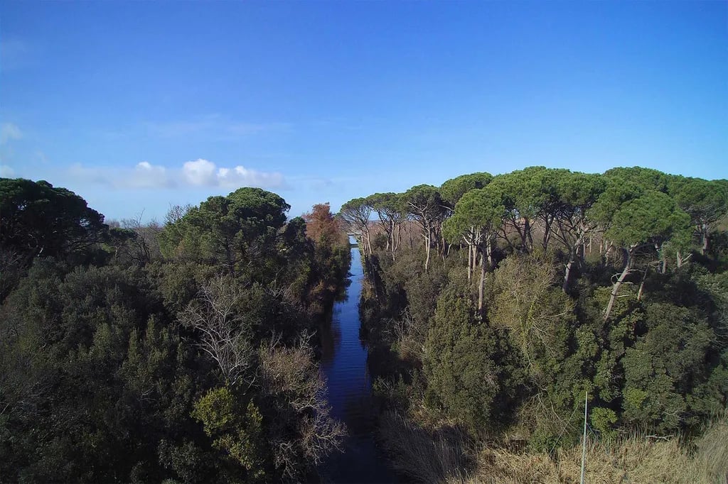 Italia Family Camping Village Viareggio