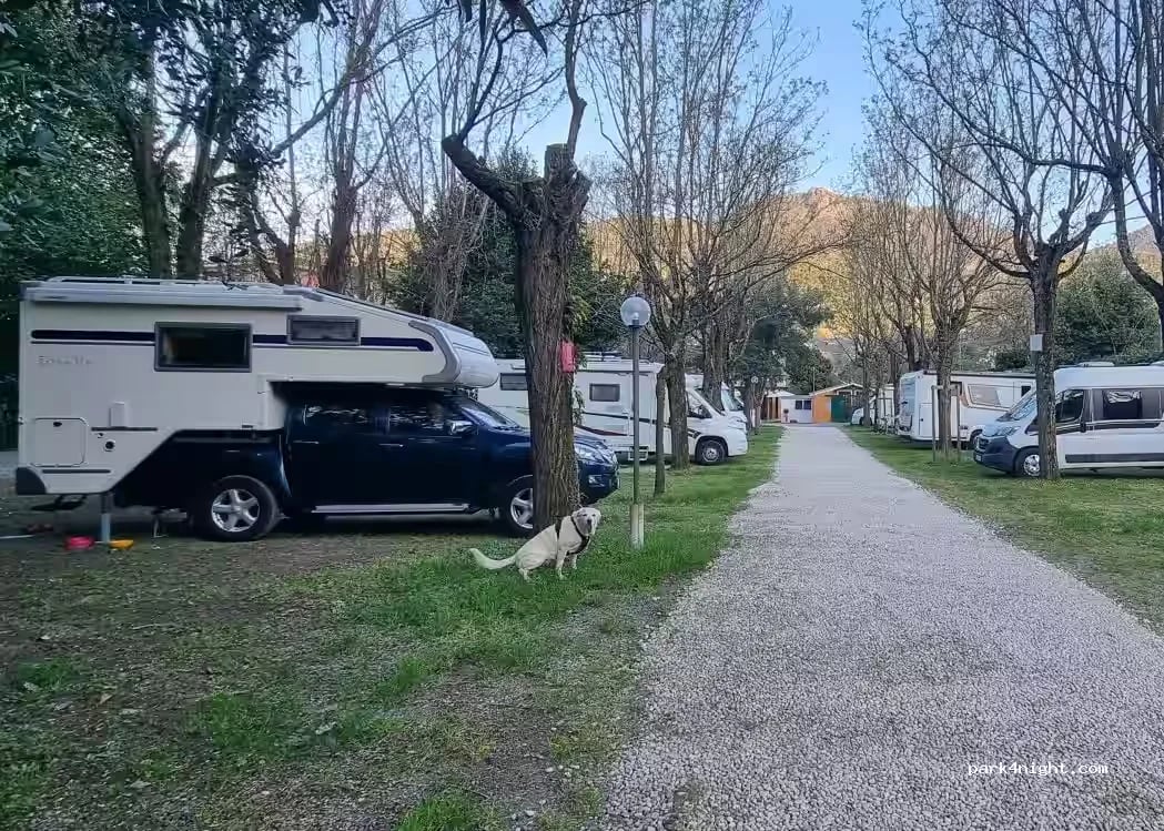 Campeggio Albero D`oro gallery 2