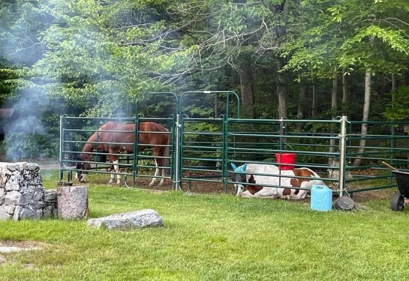 New Discovery State Park Campground gallery 1