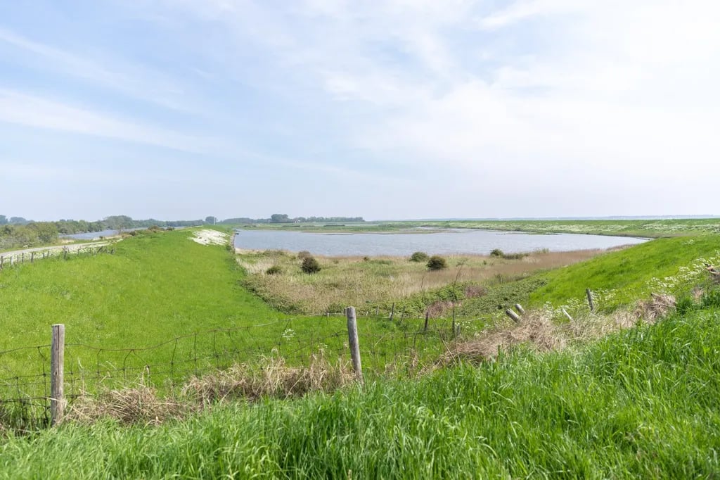 Camping De Vierbannen gallery 1