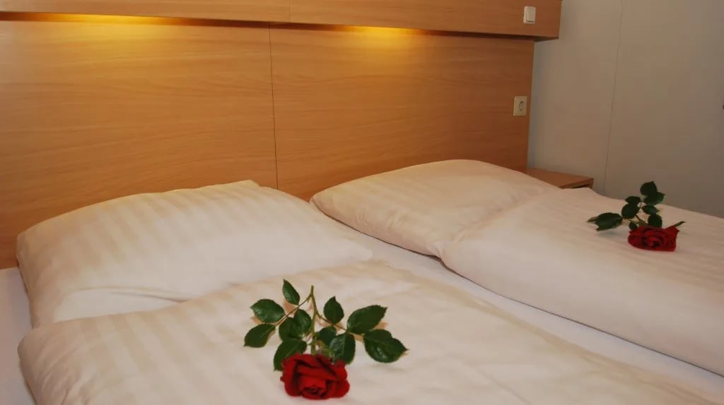 ParcCamping de Witte Vennen gallery 3