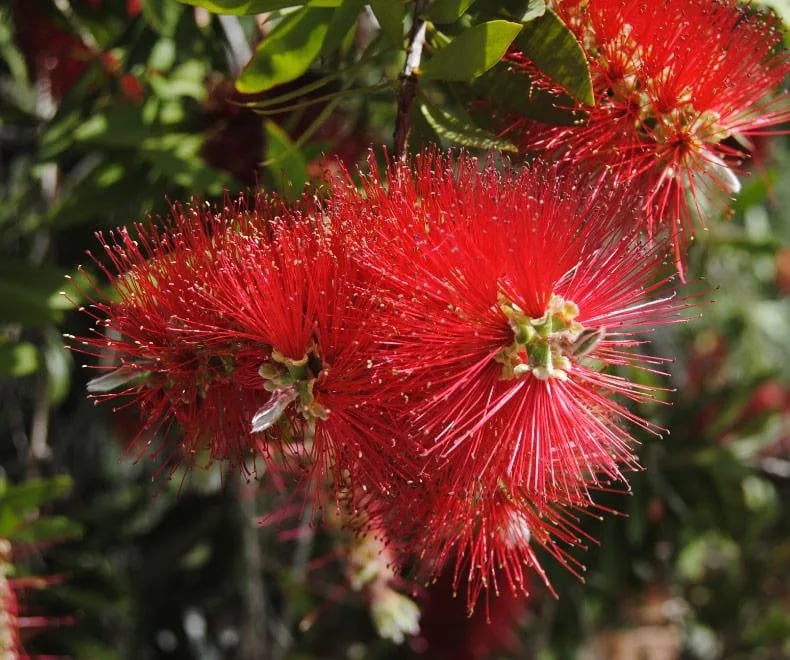 Camping Acquadolce gallery 1