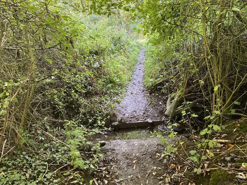 Pinewood Lodge gallery 1