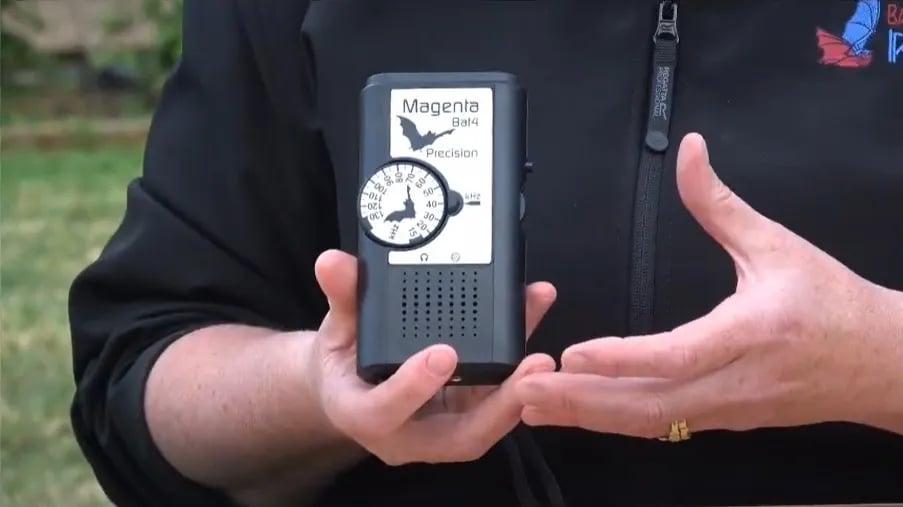 WildWood Canoe Camp gallery 2