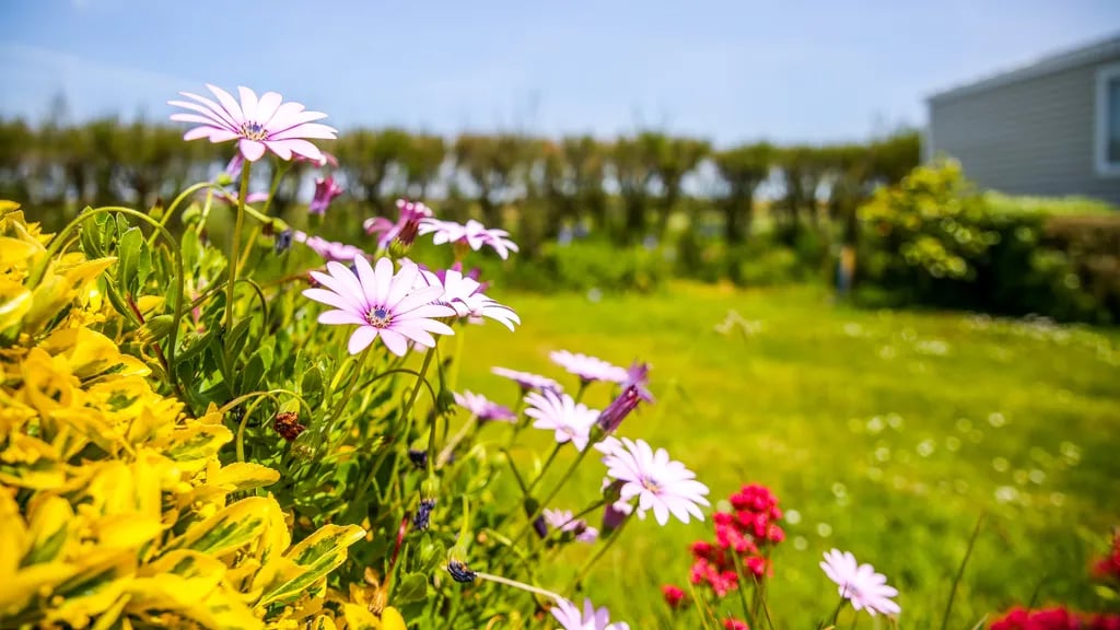 Camping du Littoral gallery 2