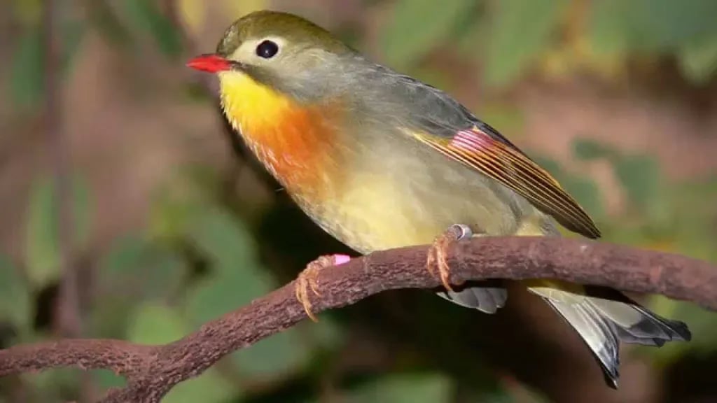 Camping du Pont gallery 1