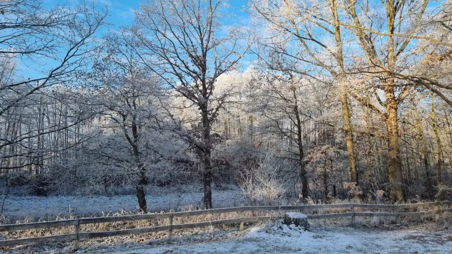 Camping am Blanksee gallery 2