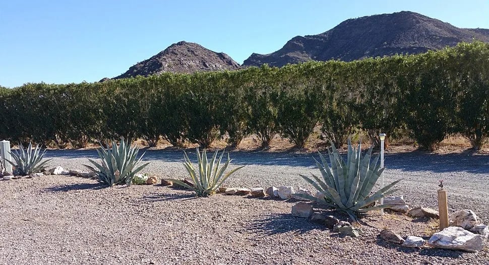 Gateway Ranch RV Resort gallery 1