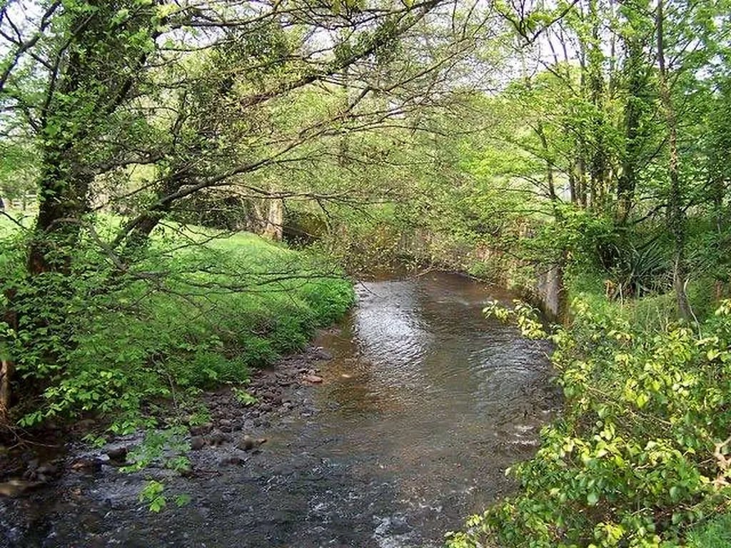 The River’s Edge gallery 2