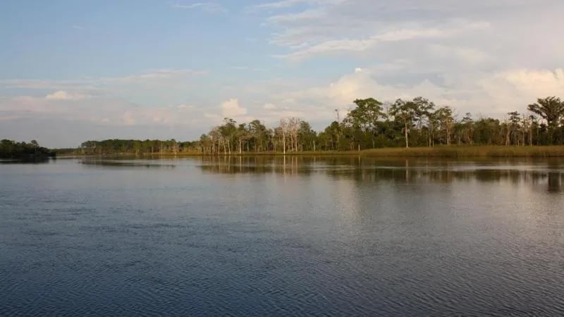 Ochlockonee River State Park Campground gallery 2