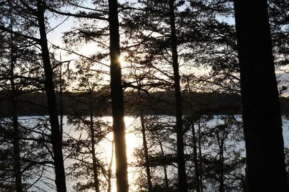 Little Fir Landing gallery 3