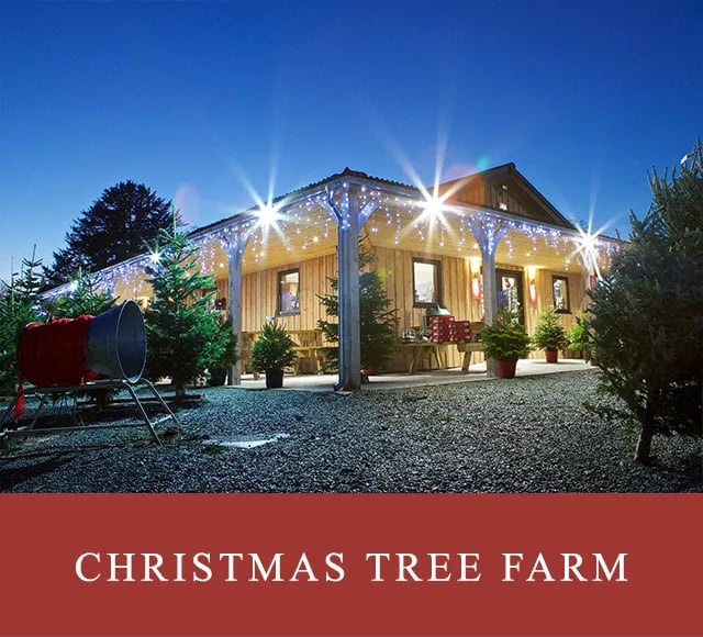 Pentreclawdd Farm gallery 3