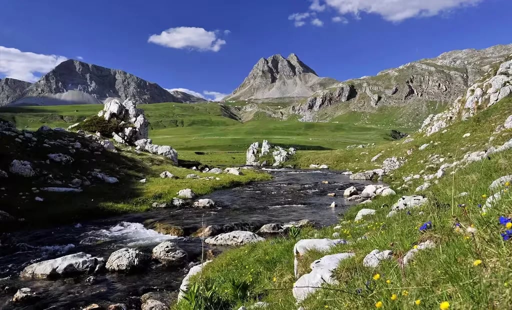 Auto camp Matica gallery 2