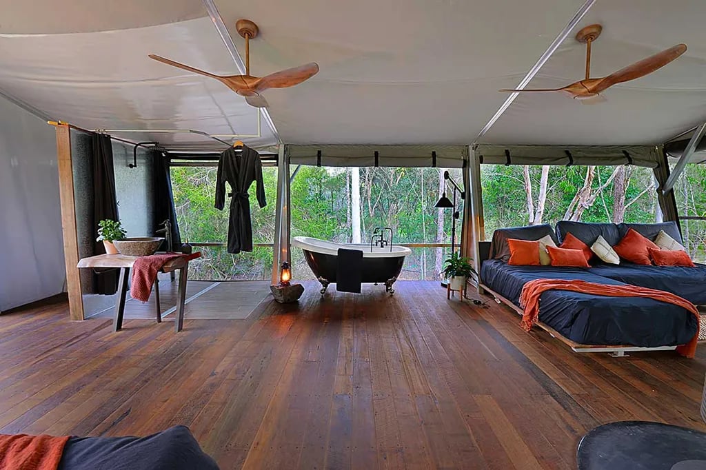 Starry Nights Luxury Camping gallery 3