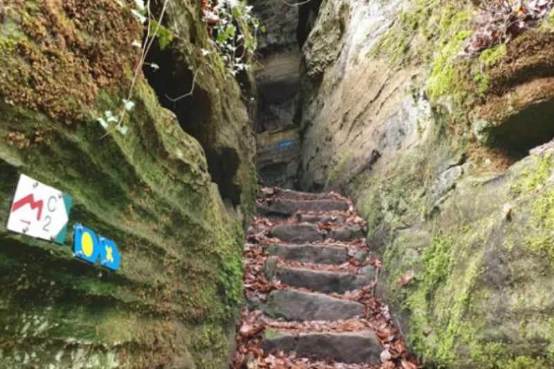 Camping La Pinède