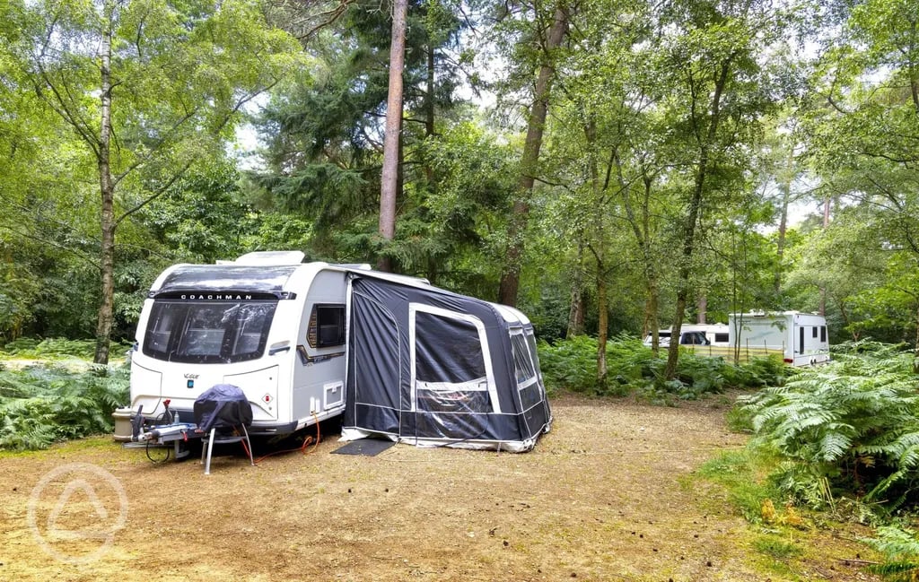 Setthorns Campsite gallery 2