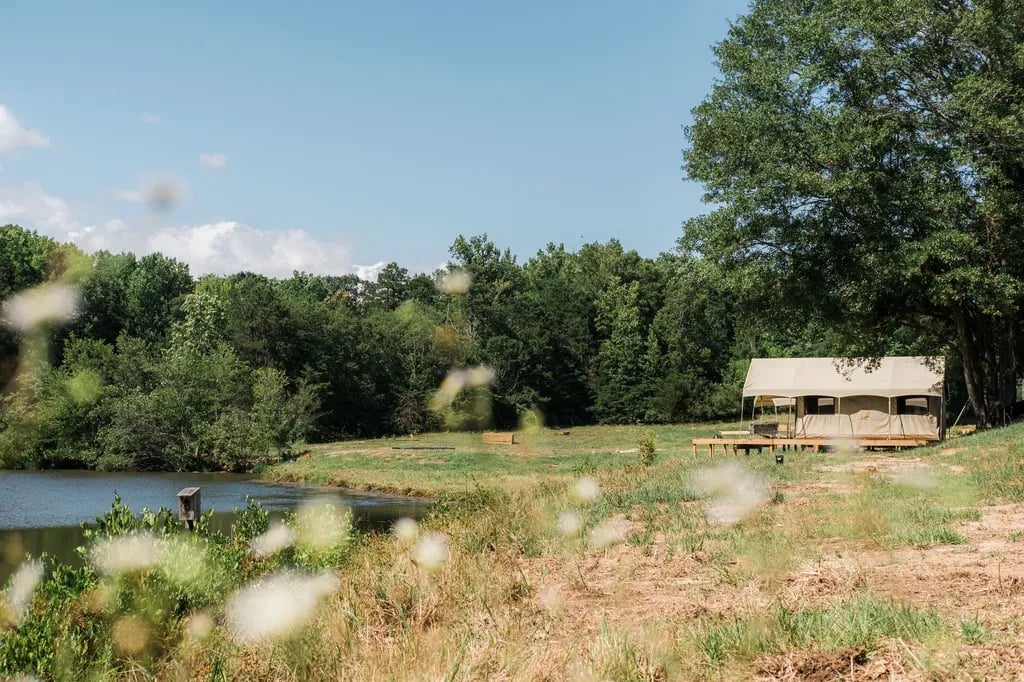 WyldStay Greenville gallery 2