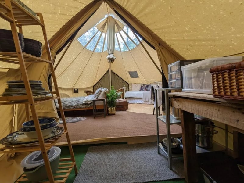 Wytch Wood Camping gallery 1