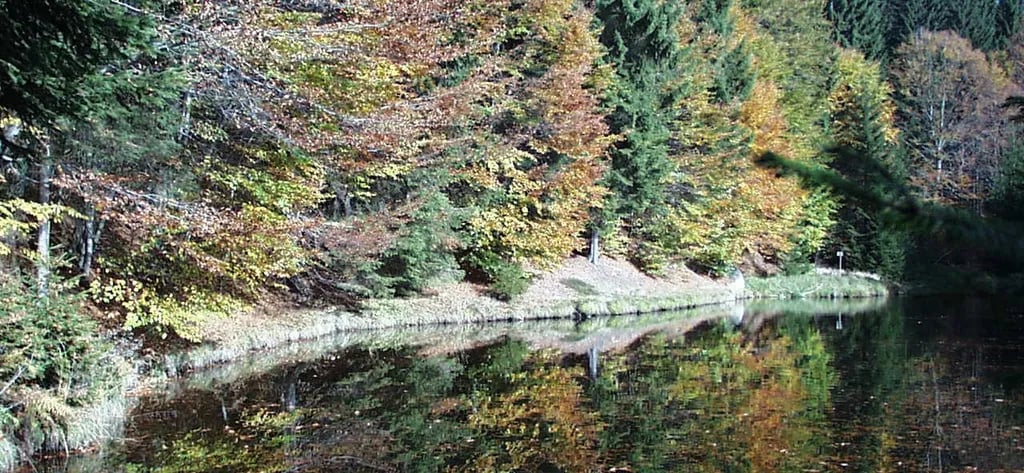 Camping Green Village gallery 3